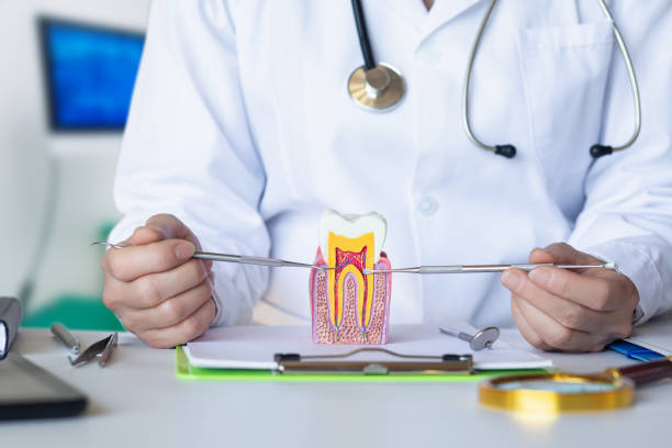 Best Urgent Dental Care for Toothaches in Bayboro, NC